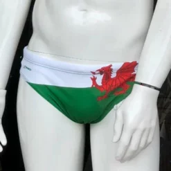 Finis - Mens Brief Custom Welsh Dragon 5 Finis - Mens Brief Custom Welsh Dragon -Men's Swimwear Sales Store welsh brief grande 1